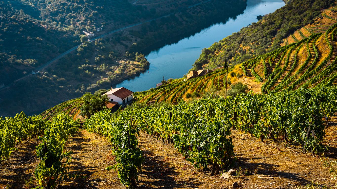 Portugal_Douro_FSGz_Qq99TA-unsplash