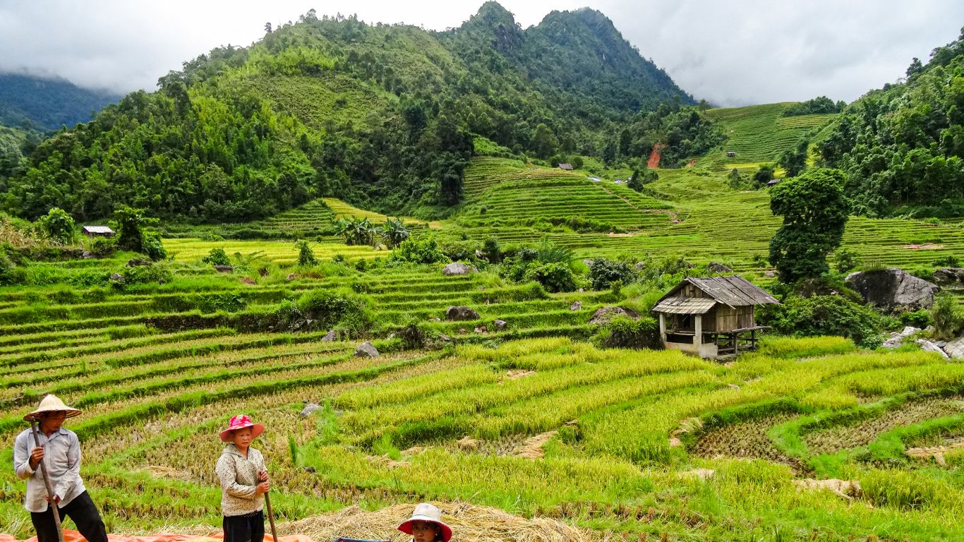 Vietnam_Sapa_6889_Topas-Ecolodge
