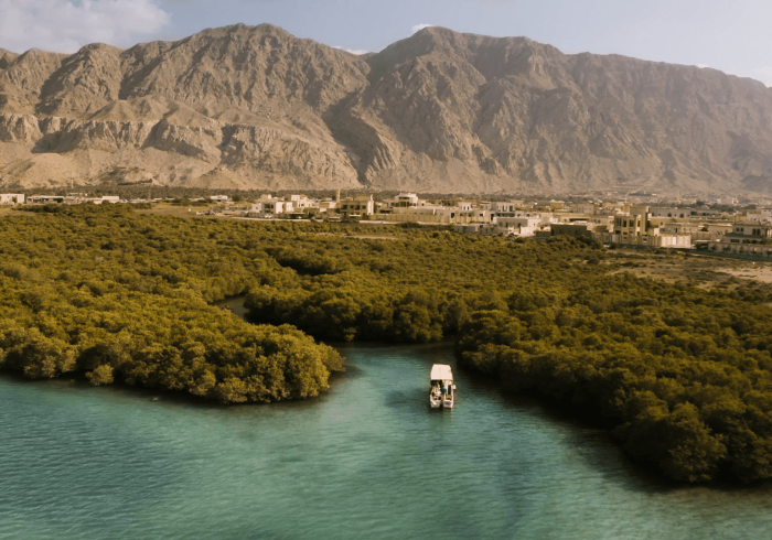 Al-Rams-Suwaidi-Pearl-farm