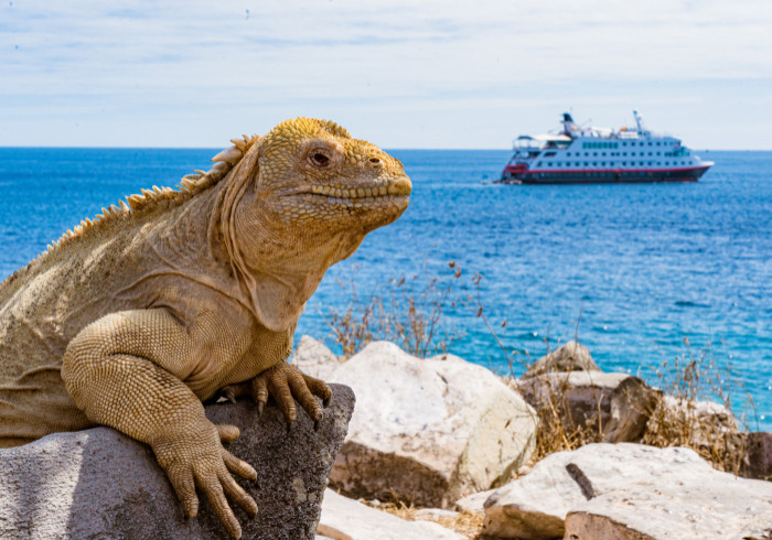 Galapagos_20231001-SantaFe-0018-AndresMesiasPh-Andres-Mesias-24860613-Photo_Andres_Mesias