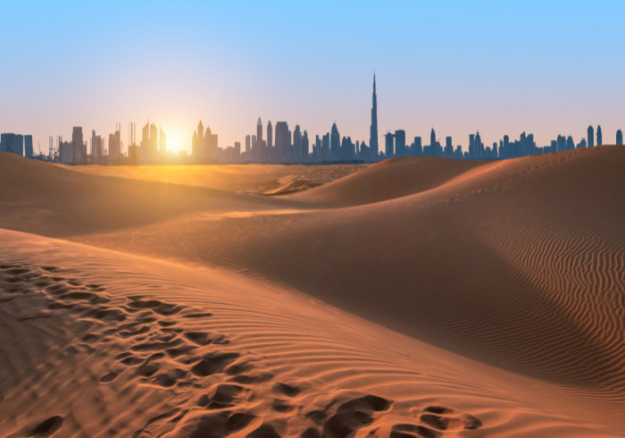 shutterstock_2255774031
