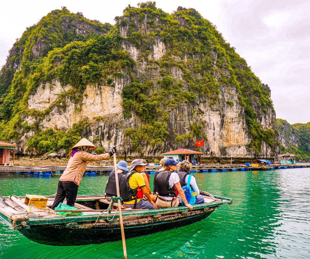 Vietnam Sapa Flora2019 0802