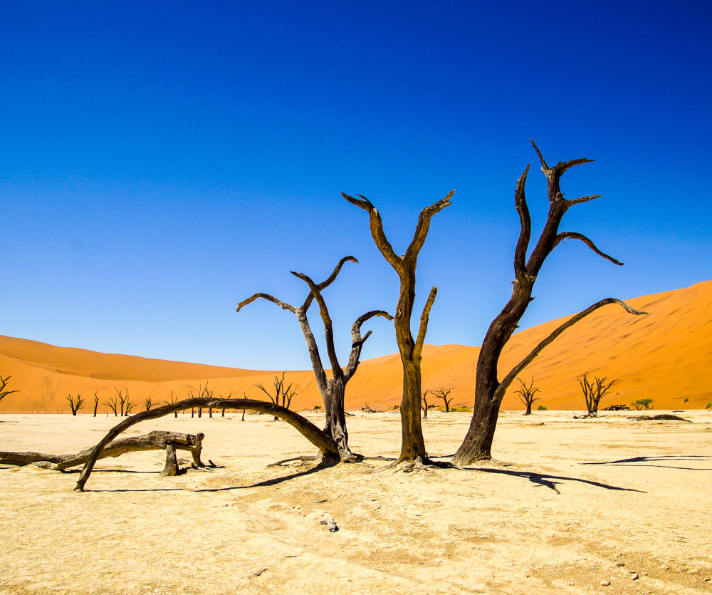 Namibia Sossusvlei FWB2015-1 032