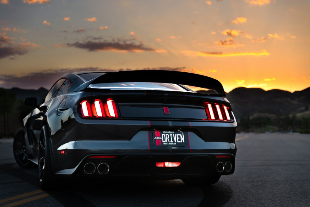 Mustang