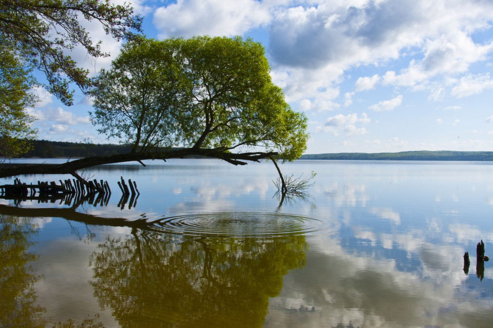 Seenplatte