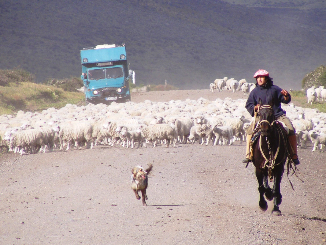 original_Gaucho_El_Calafate