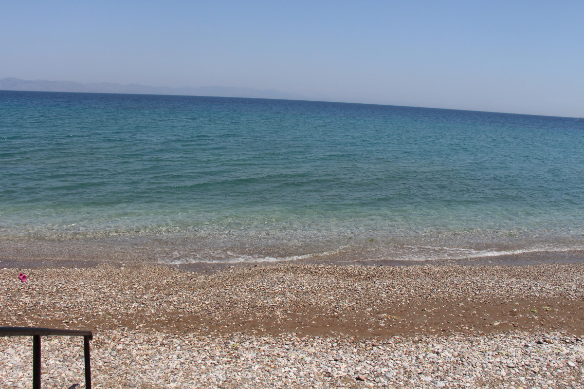 original_IMG_2954