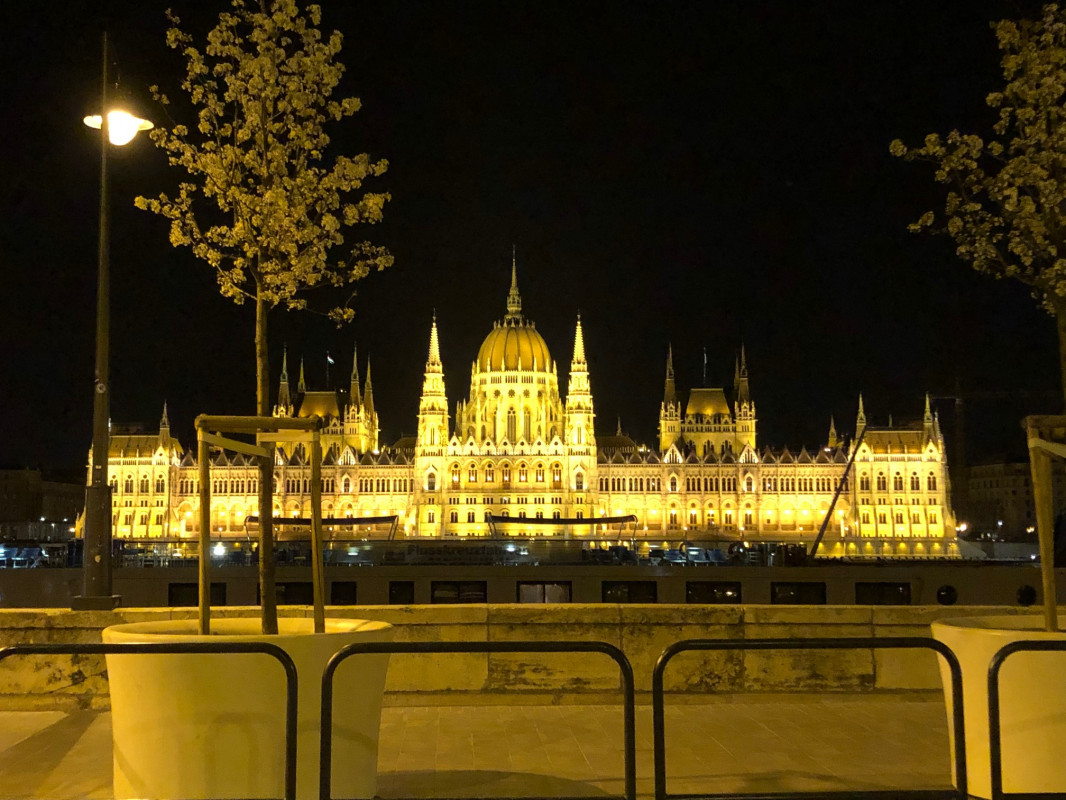 original_Budapest_Nacht