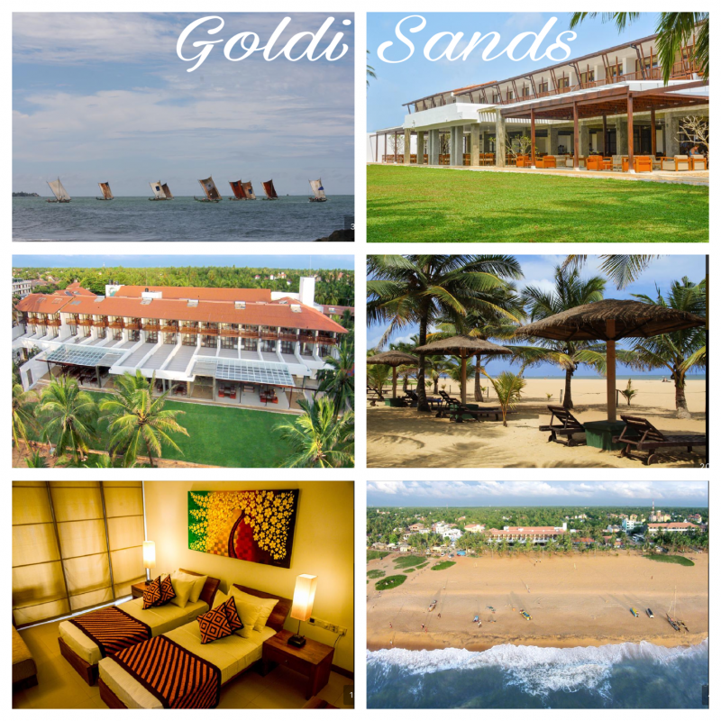 original_goldi_sands