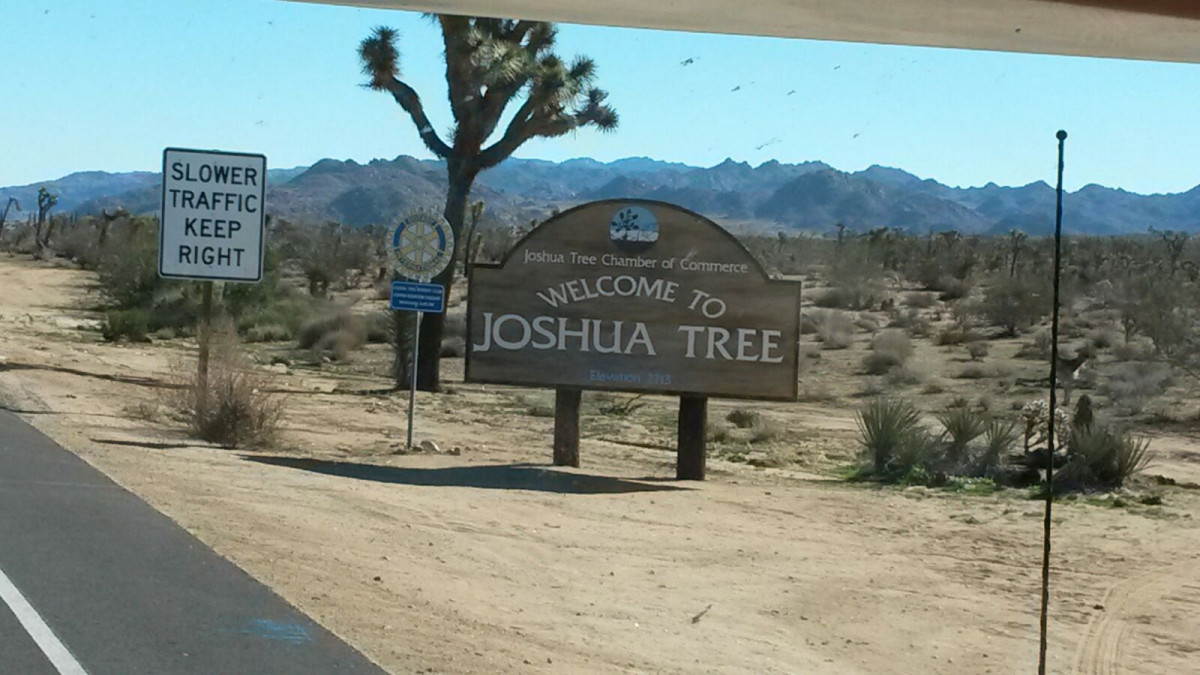 original_Joshua-Tree