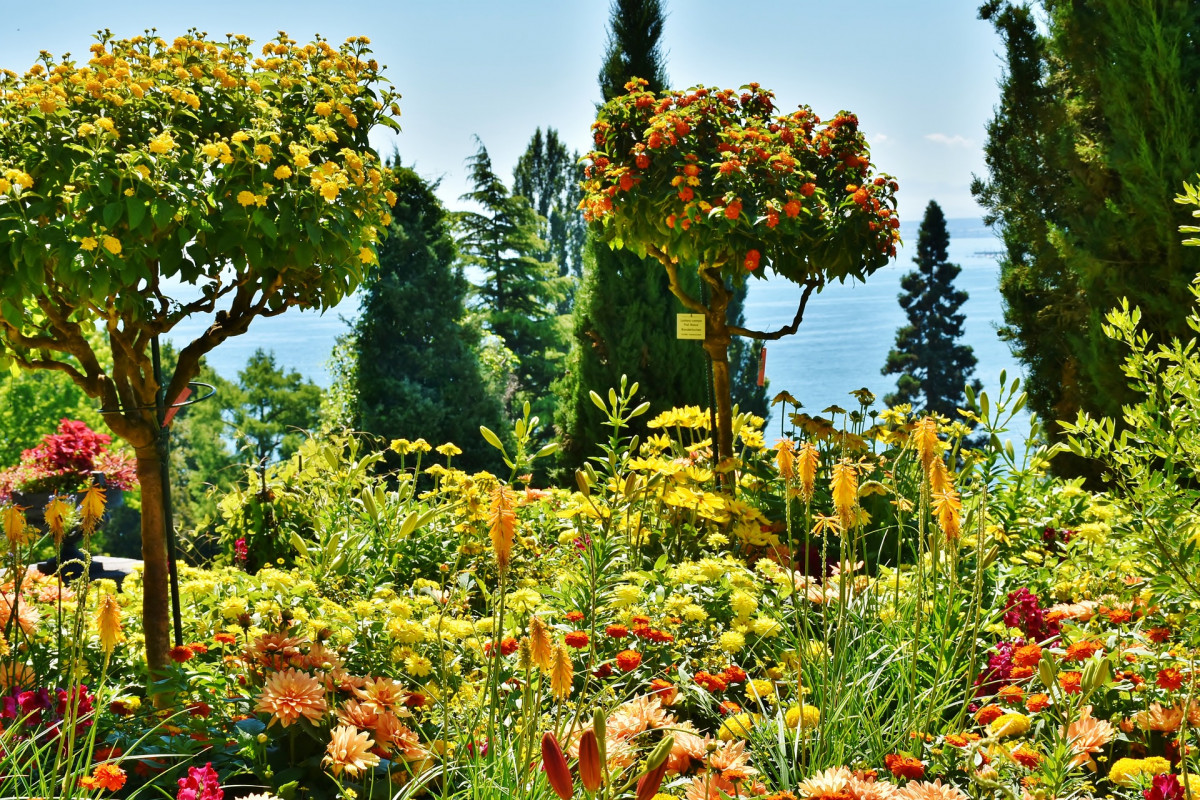 original_mainau-1574860_1920