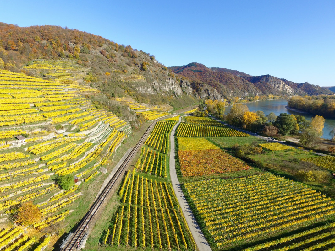 original_upper-rhine-valley-1030909