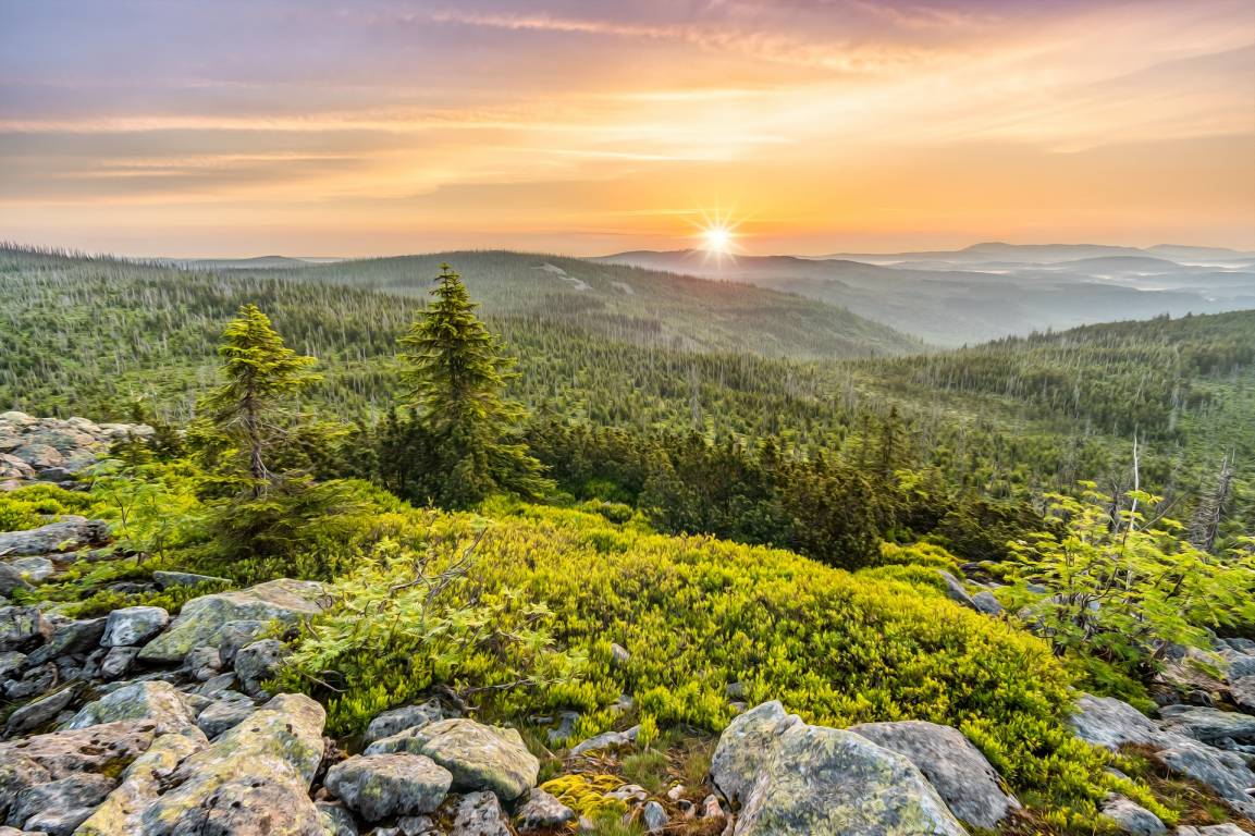 Bayerischer Wald