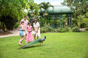original  Fort Myers - Islands Beaches and Neighborhoods Wonder Gardens