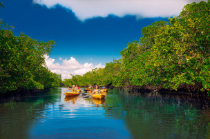 original  Fort Myers - Islands Beaches and Neighborhoods kayaking 2 