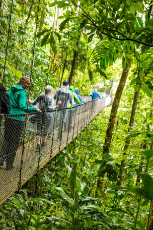 original Costa-Rica Tortuguero Regenwald-Arenal-NP-20181028 1
