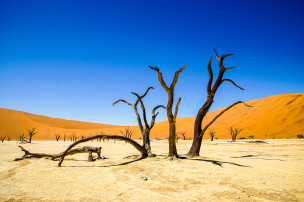 original Namibia Sossusvlei FWB2015-1 032 3
