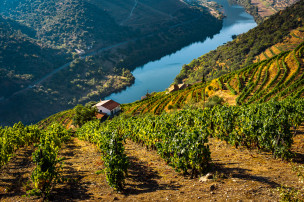 original Portugal Douro FSGz Qq99TA-unsplash 2