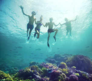 original Diving group 1