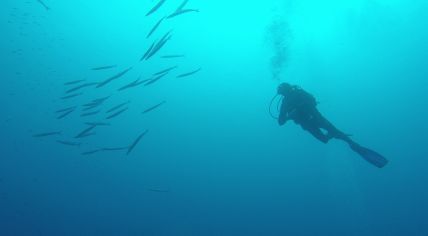 Blu Infinito Diving Center