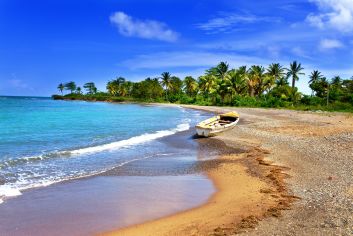 Reggae, Rum und Rastafaris