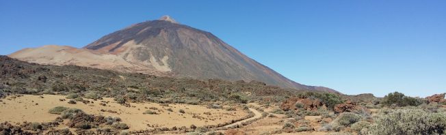 Teneriffa - eine Insel mit vielen Facetten/Eine 5-tägige Inforeise mit TUI