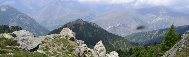 Atemberaubende Felsschluchten und italienische Ursprünglichkeit: Wanderreise im Valle Maira