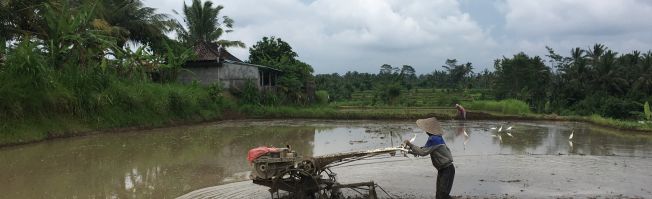 Bali - Insel der Götter