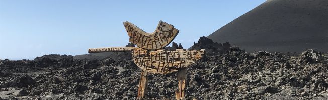 Vulkane, Palmen und Meer - Lanzarote 