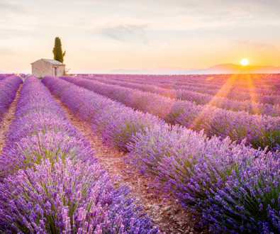 Provence