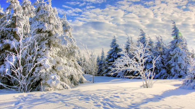 harz