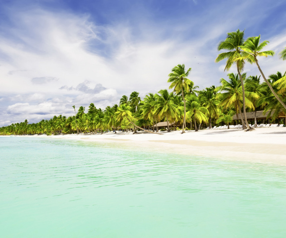 domrep