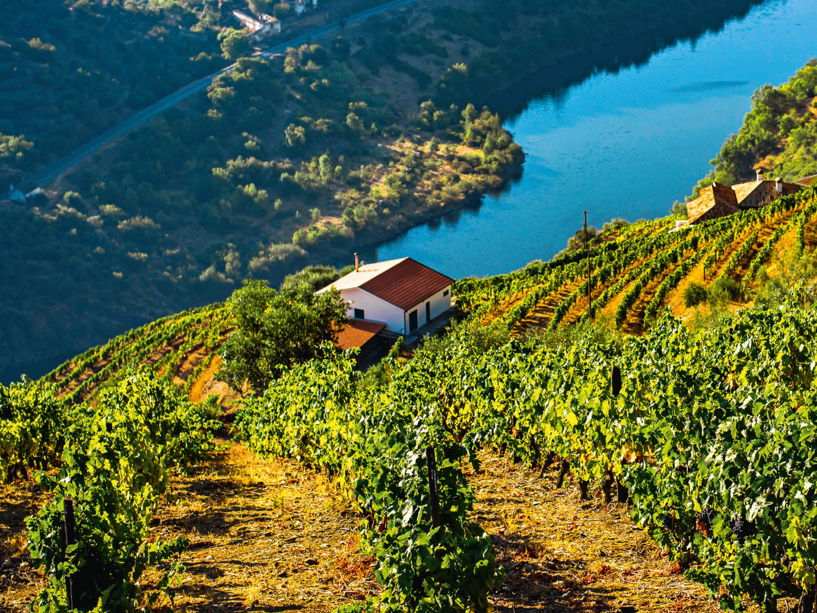 Portugal Portugal
